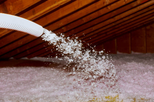 Best Geographic-Specific Insulation Services in Madison, AL