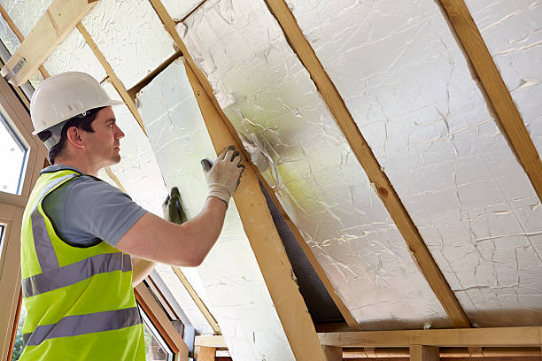 Best DIY Insulation Kits and Guidance in Madison, AL